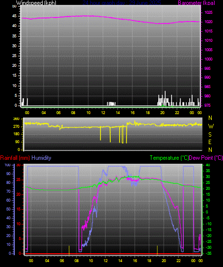 24 Hour Graph for Day 29